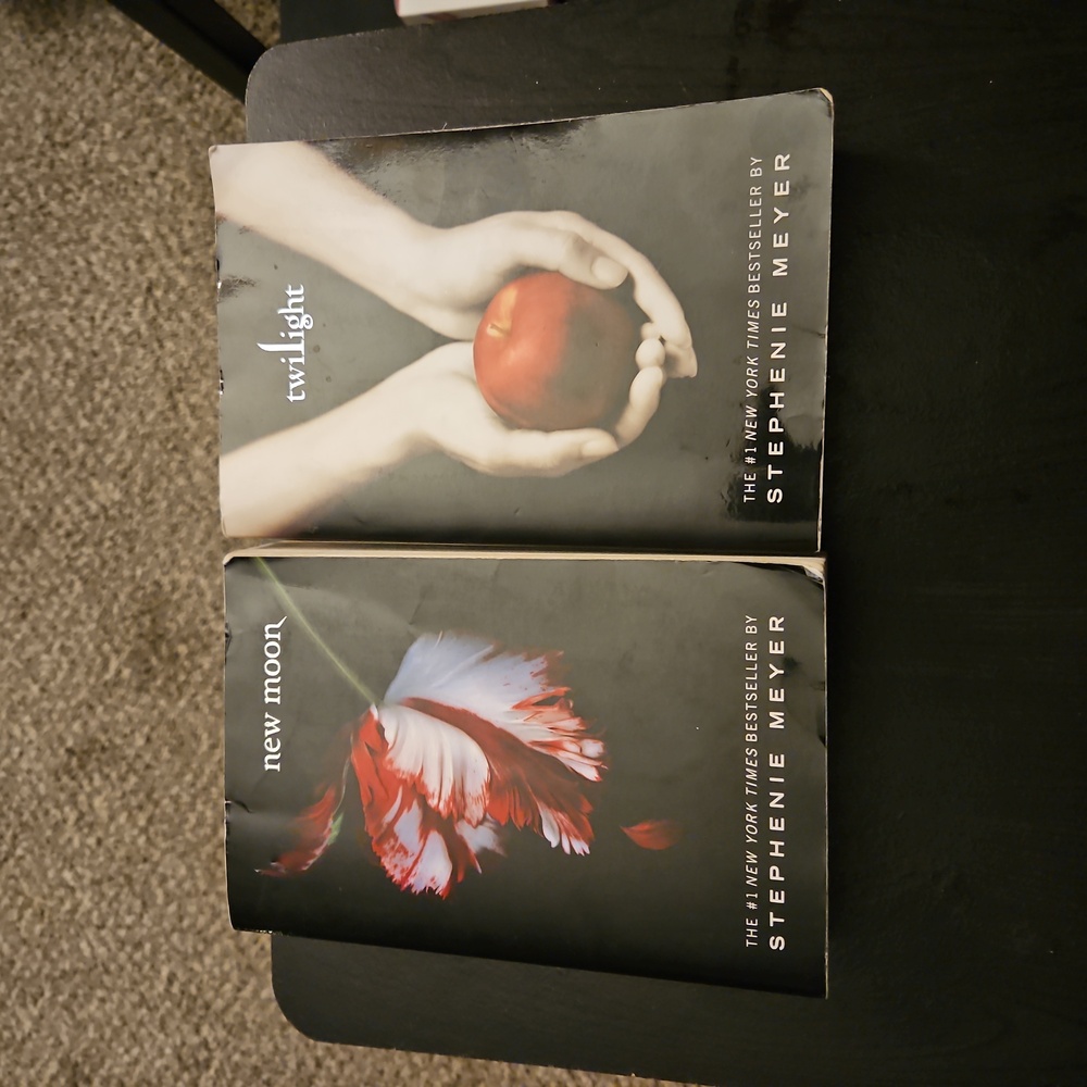 Twilight books